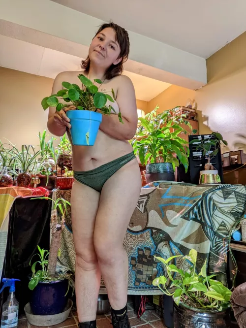 Do you like my pilea? 🥺💚