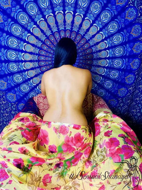 Do you like my sensual pose in saree? [f]