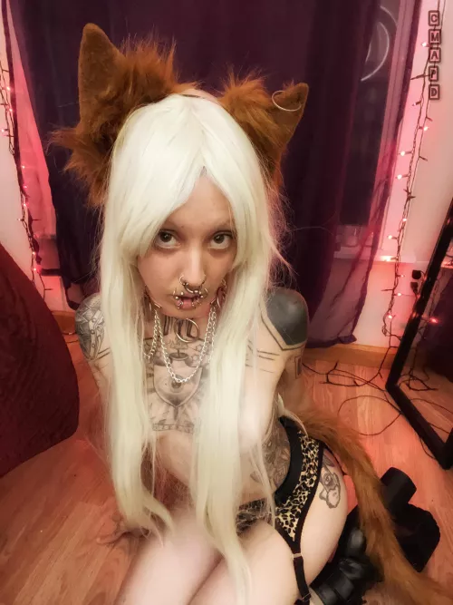 “Good kitty” vibes ♥️