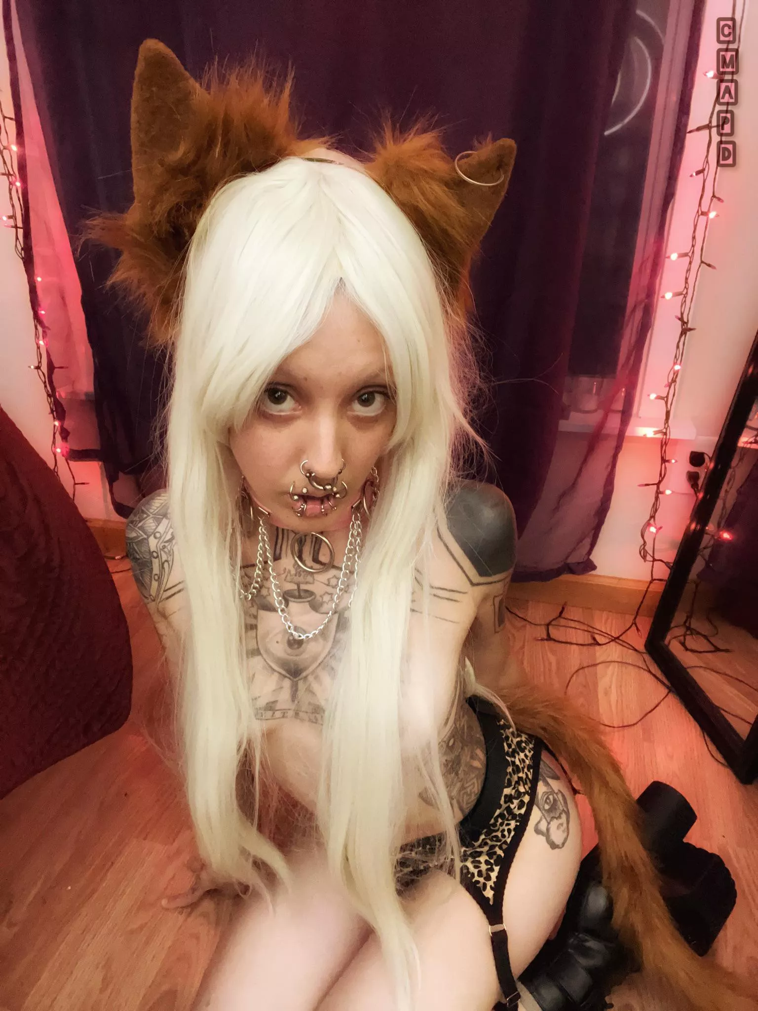 “Good kitty” vibes ♥️