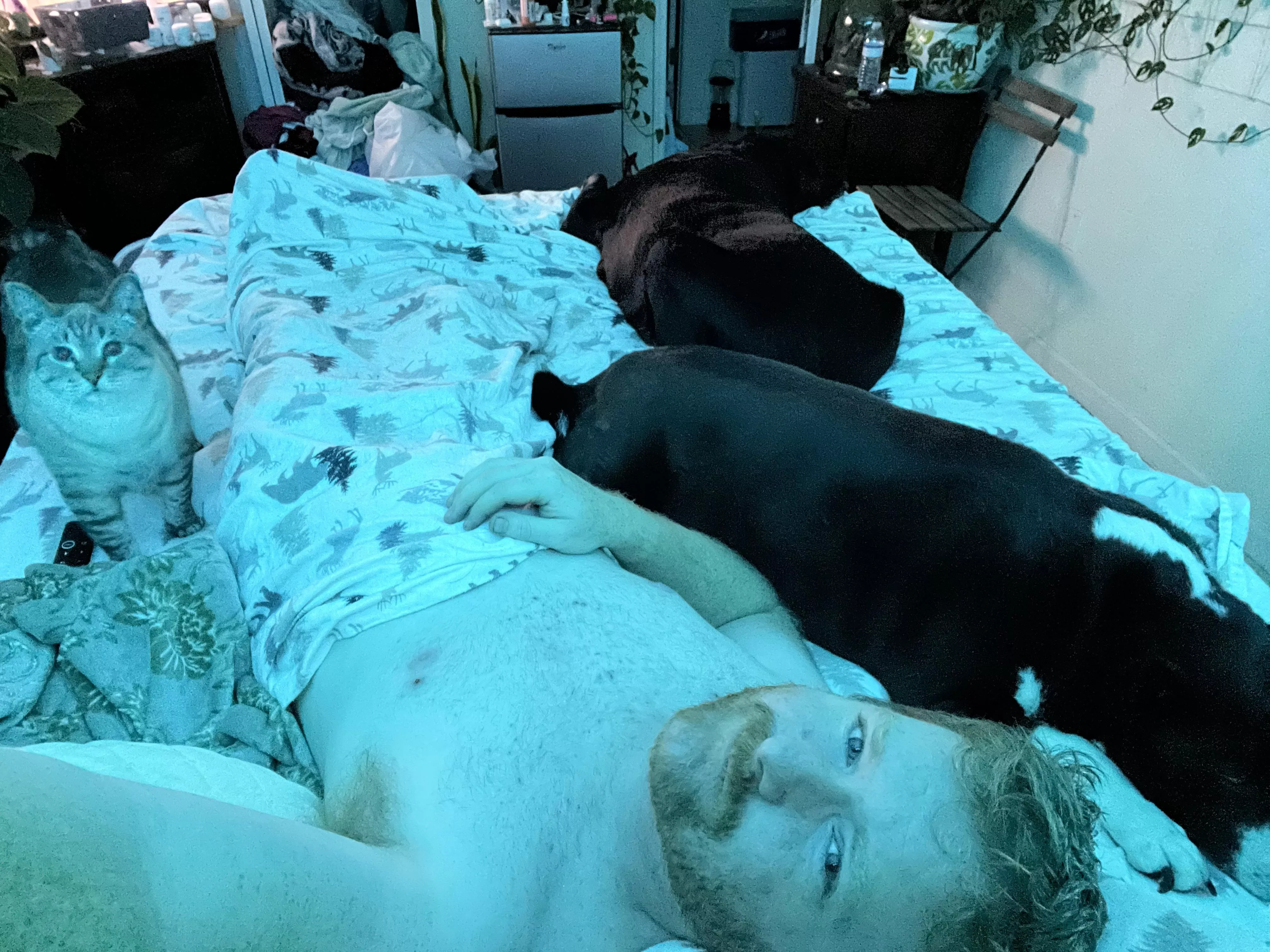 Goodnight Bros! Ever feel like your bed is a tad full?