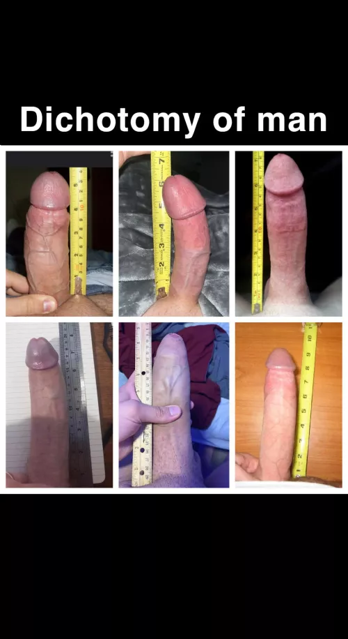 How would you rank these?