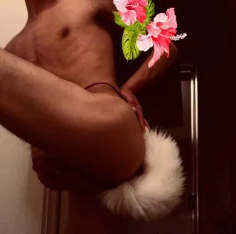 I’m in love with my tail