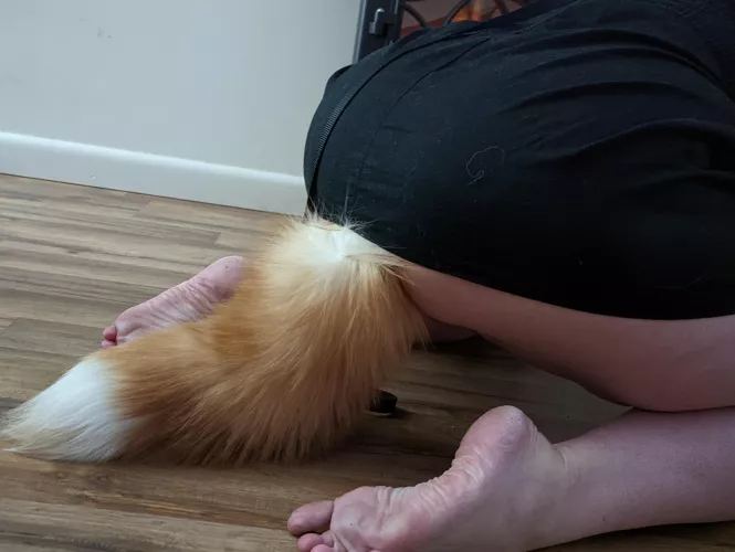 I'm leashed and ready for my walk, Sir.