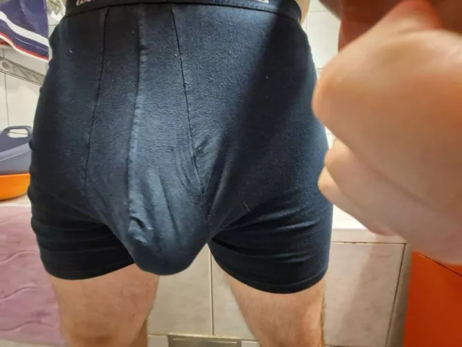 Massive 22yo bull waiting here for compare