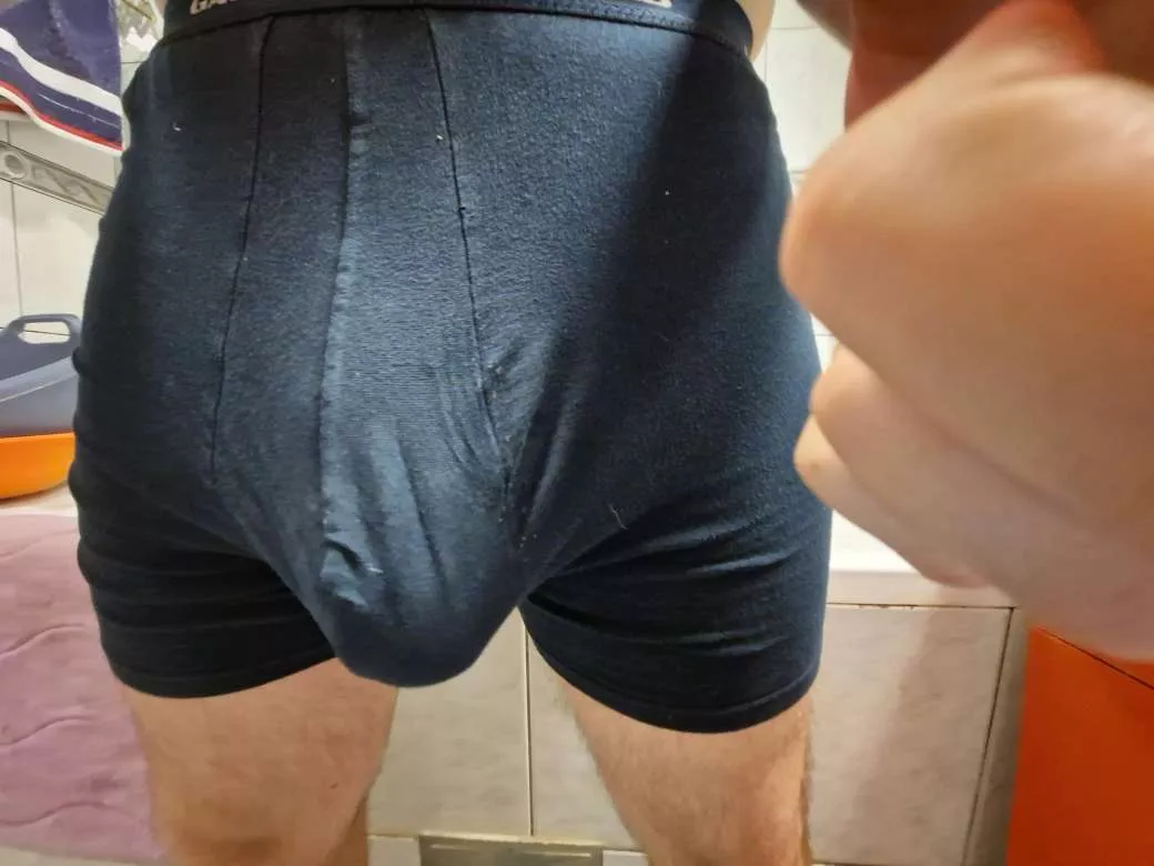 Massive 22yo bull waiting here for compare