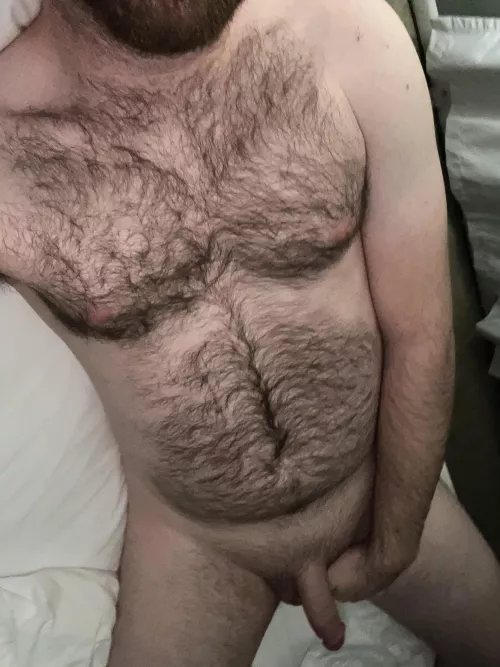 Nice place to lay your head