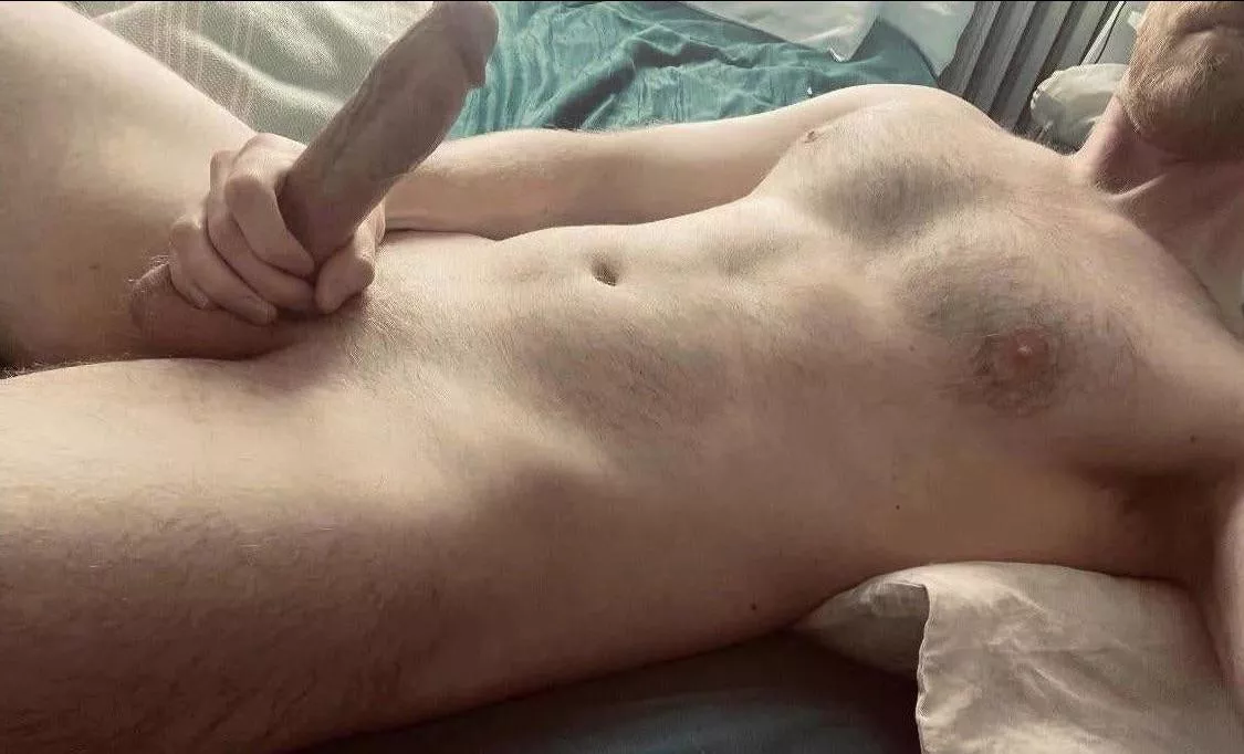 Not usually into breeding talk, but who wants some 6’4 Ginger genes?