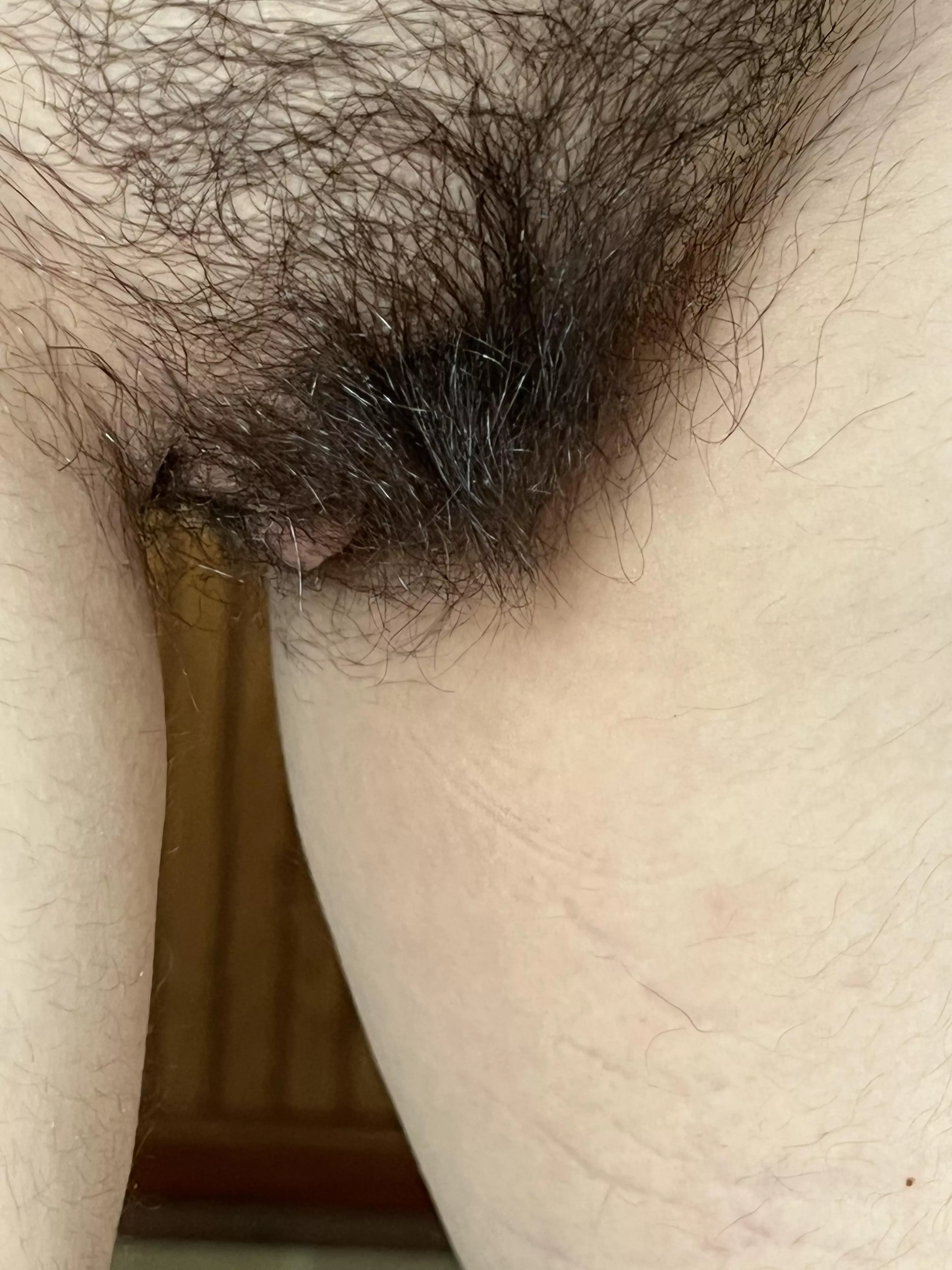 pay for my breakfast for more furry photos? 🥰