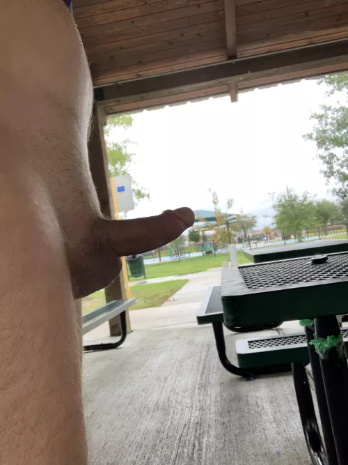 Rain and chill means an empty park. Perfect for naked fun