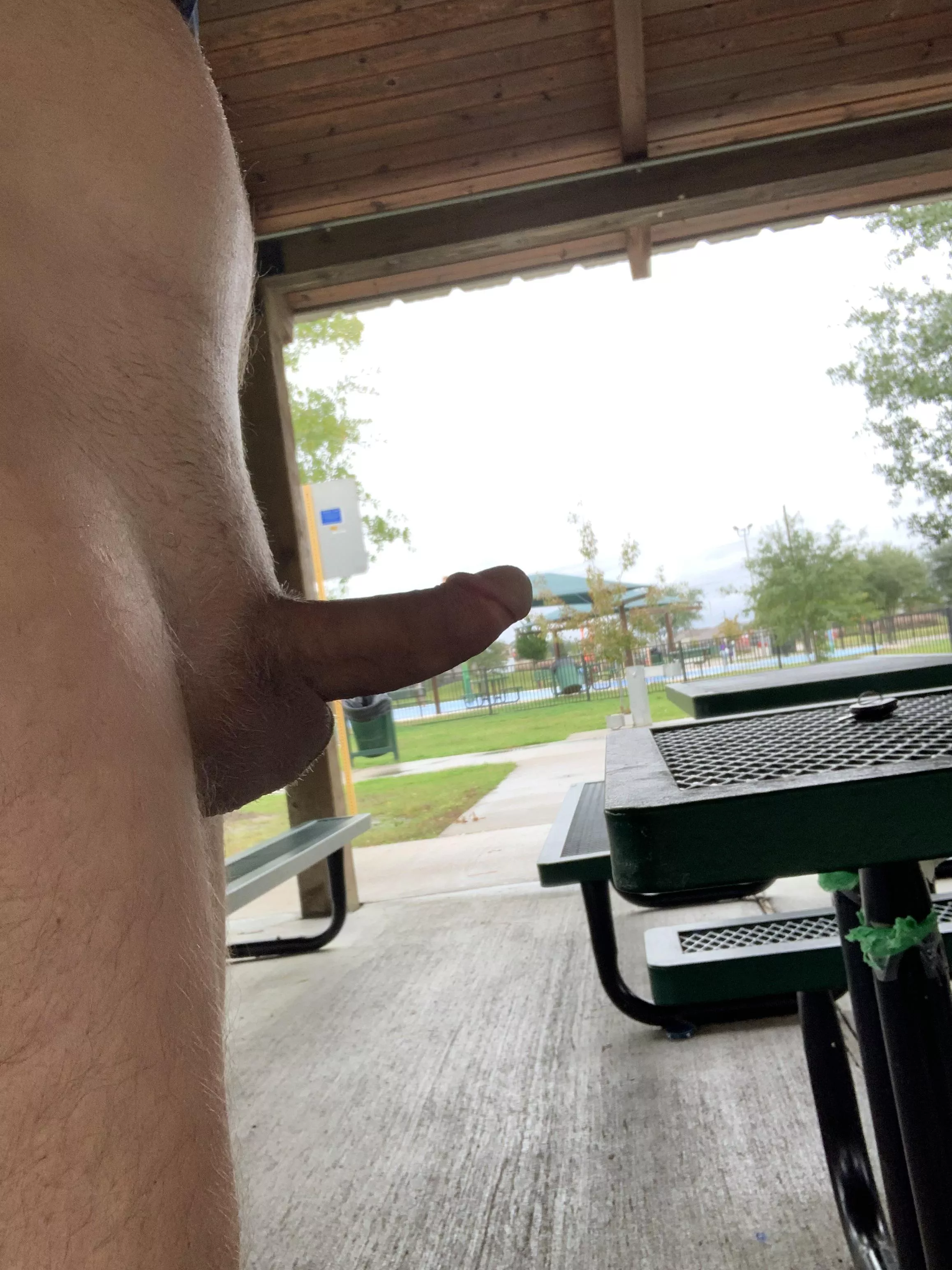 Rain and chill means an empty park. Perfect for naked fun