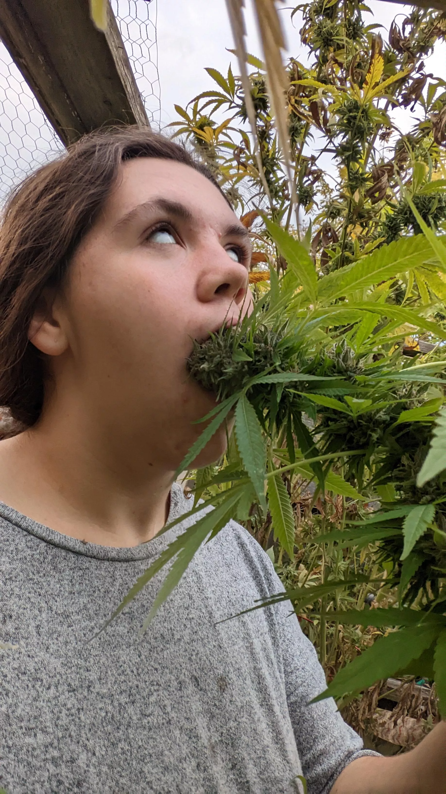 Sometimes I just wanna 🍭