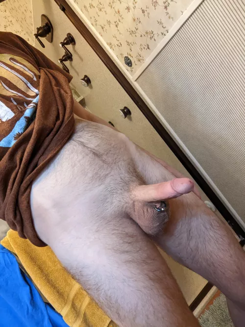 Suck my balls and rub your face in my hair