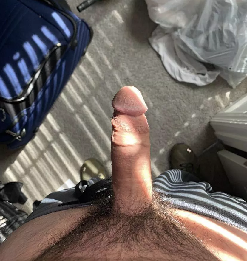 Upvote if you would take my young cock