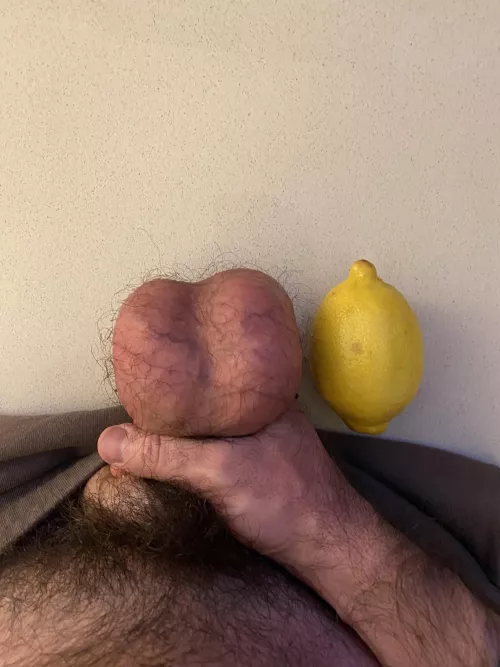 When life hands you lemons…