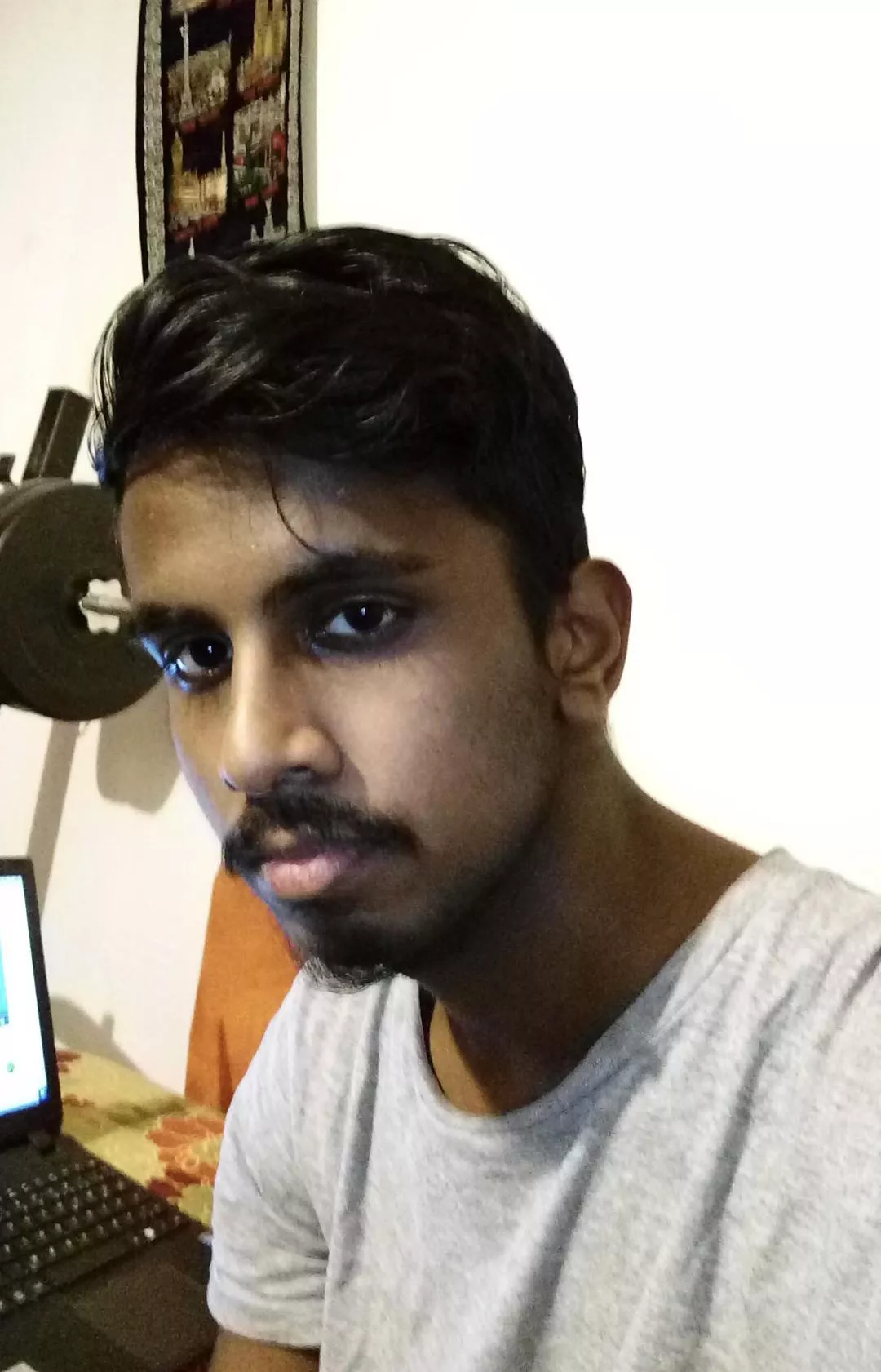 who likes chocolate ?