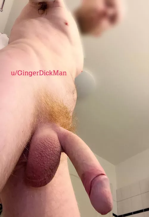 Who wanna play with a ginger :)