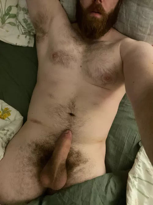 29, 6’5”, newly out as bi, and can’t stop thinking about taking my first cock. Can you help? Dm me