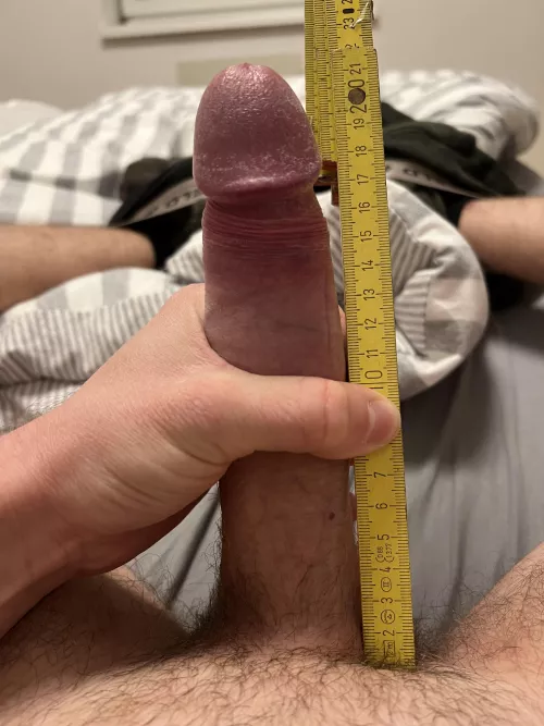 Bone pressed length. Big or not?