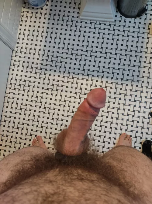 Bush almost covers the cock ring