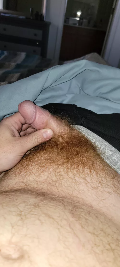definitely need to shave!