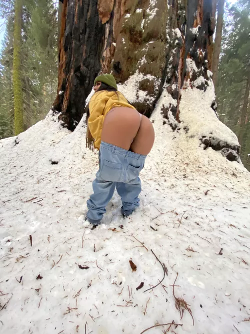 [F] let’s take a hike