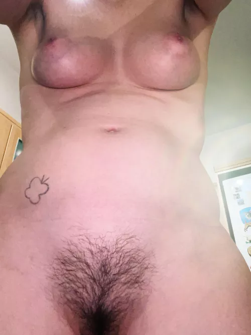 how does my bush look from down there?