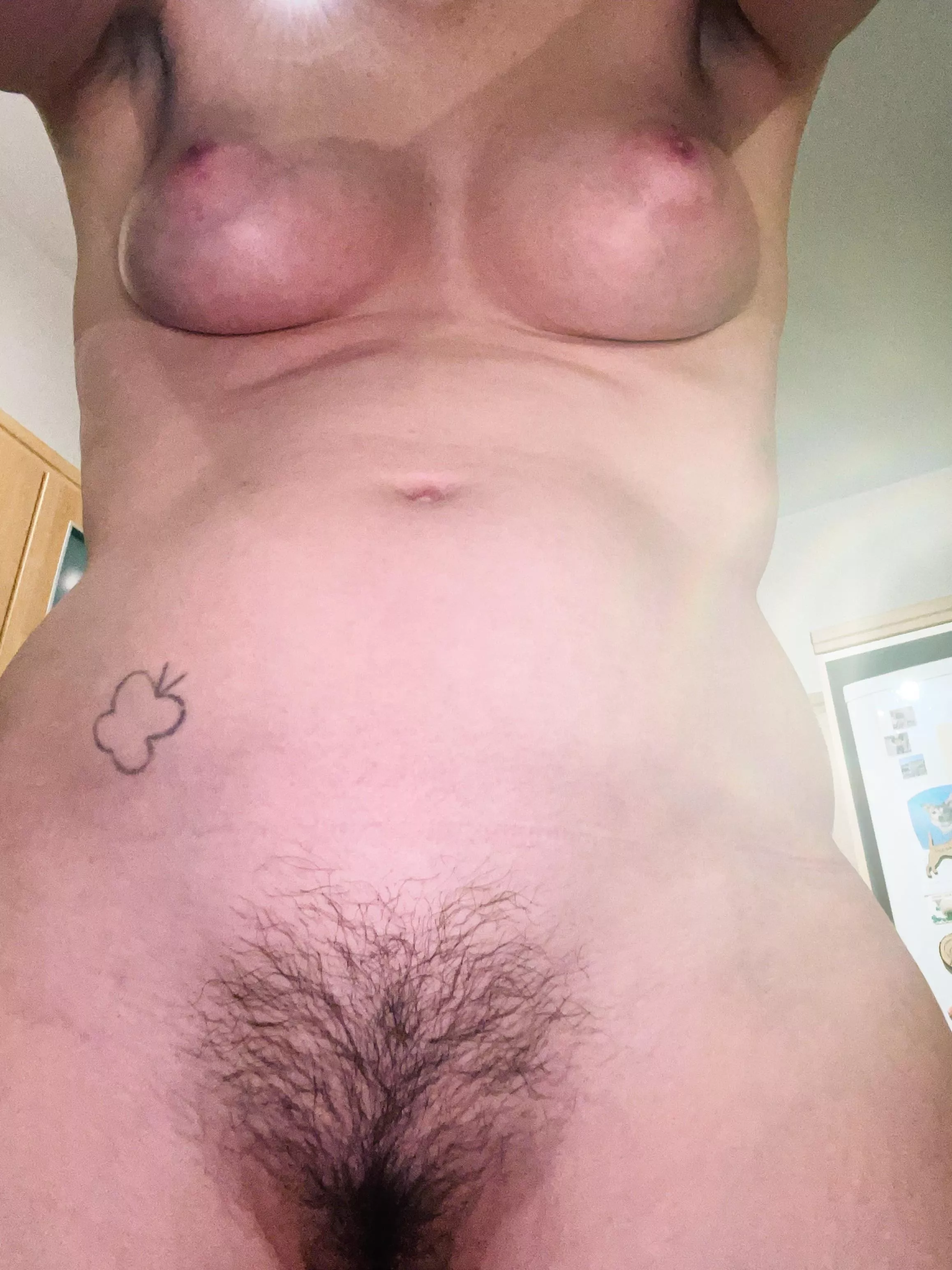 how does my bush look from down there?