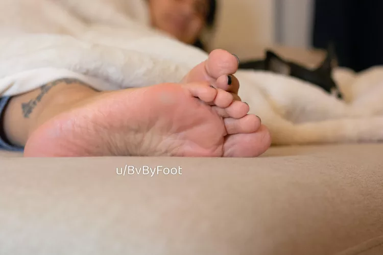 How many wrinkles can you count?