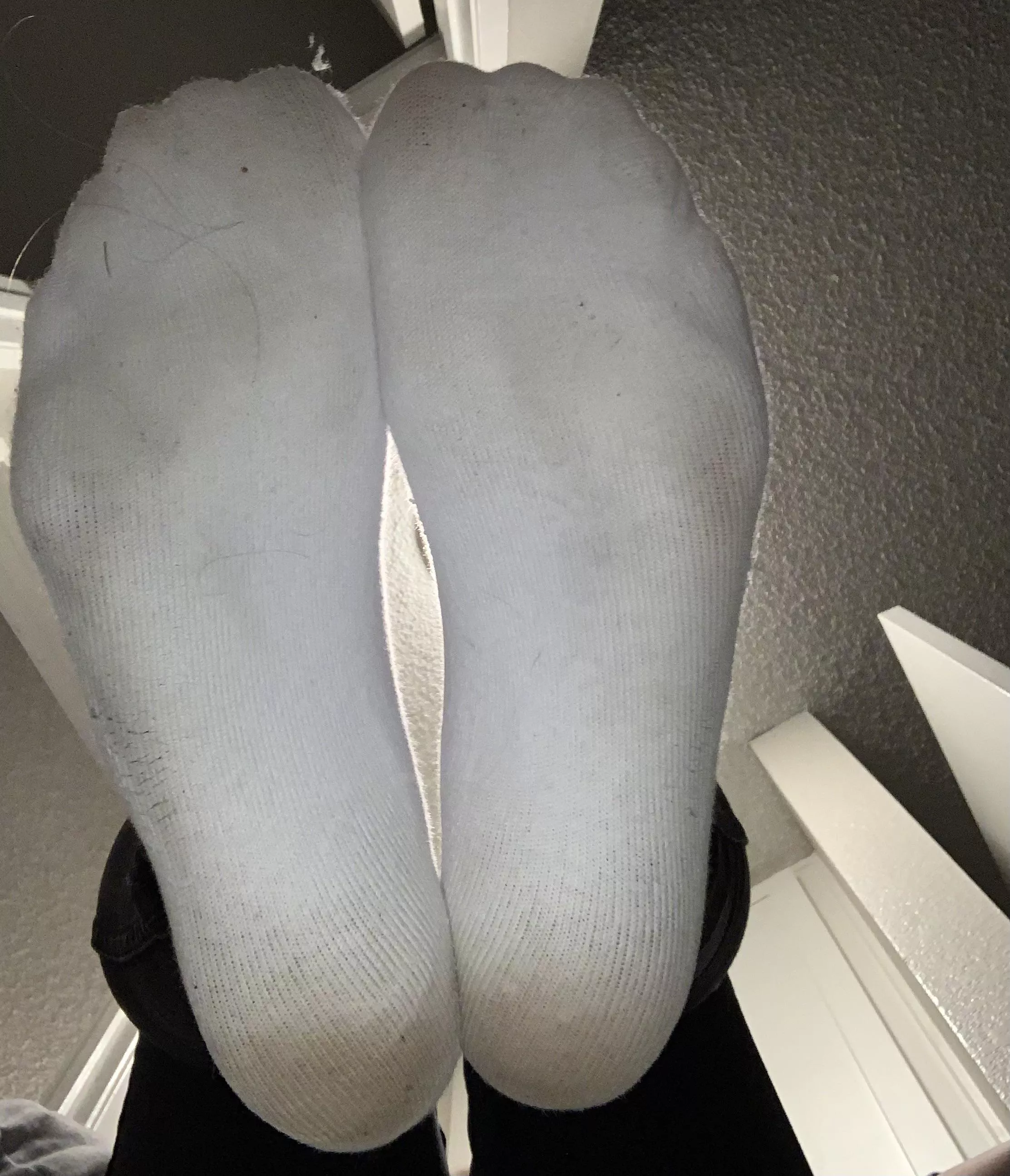 I bet you wanna sniff them.