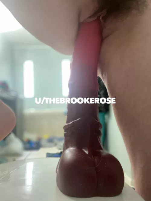 I can only get the tip on my large chance. Any advice on taking it all? I’ve been trying for 5 years!