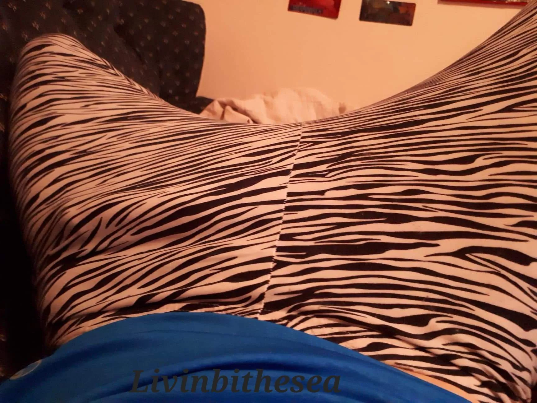 I jyst can't hide this cock when it's hard