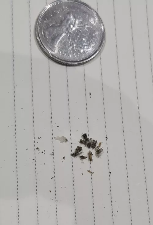 inorganic pop, the answer to why my mobile phone stopped charging