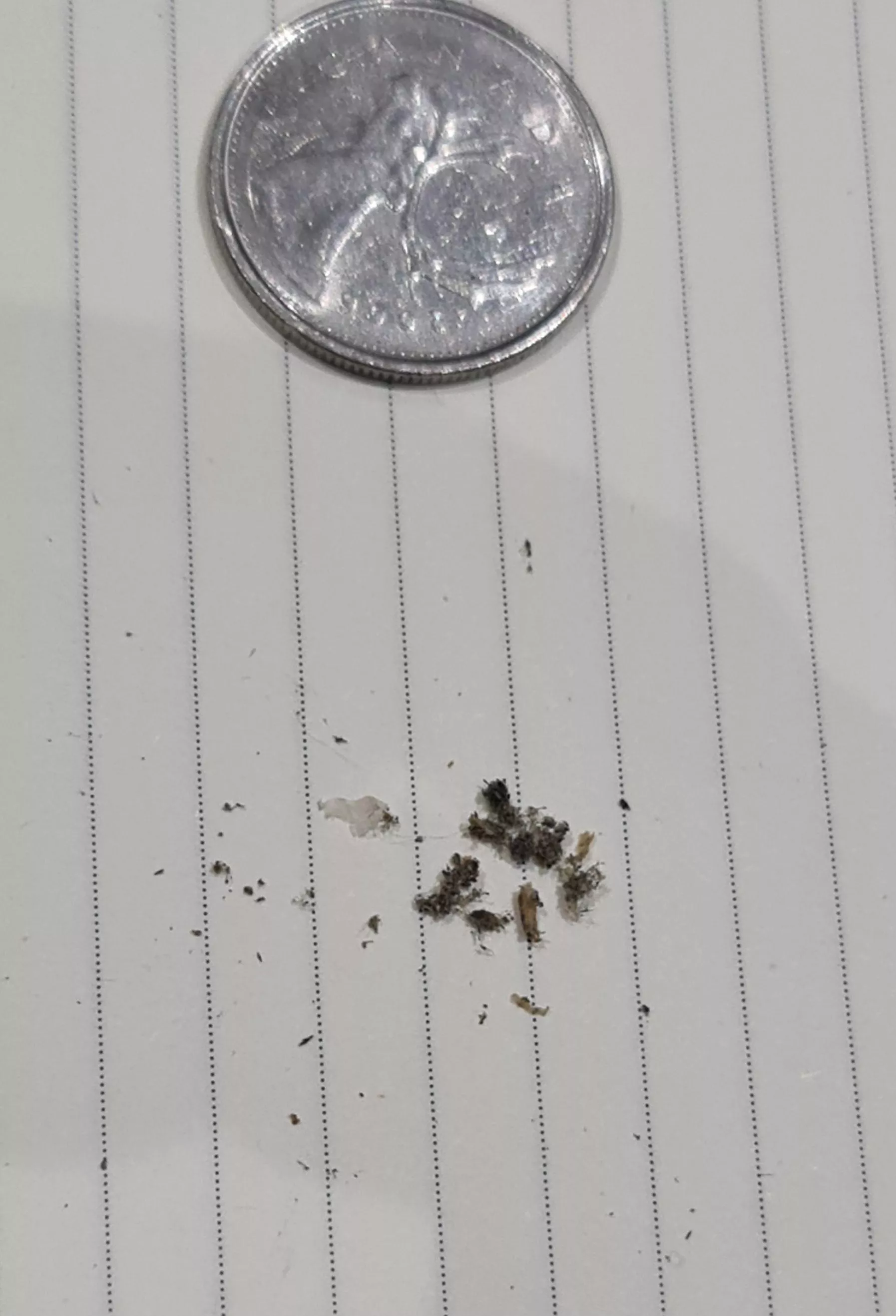 inorganic pop, the answer to why my mobile phone stopped charging