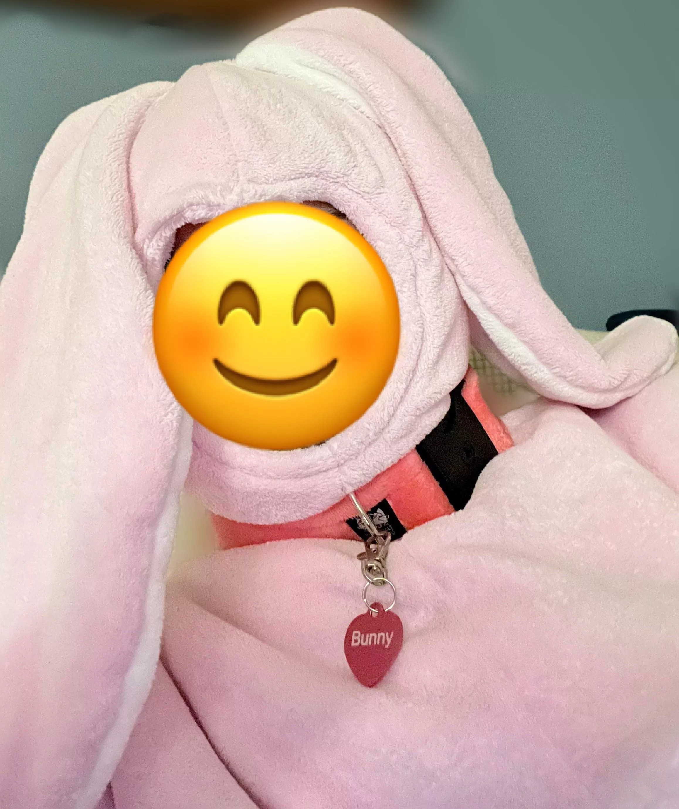 Just a cute trapped Pink Bunny