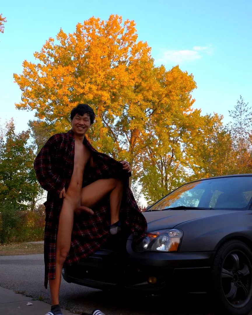 let's go on a road trip