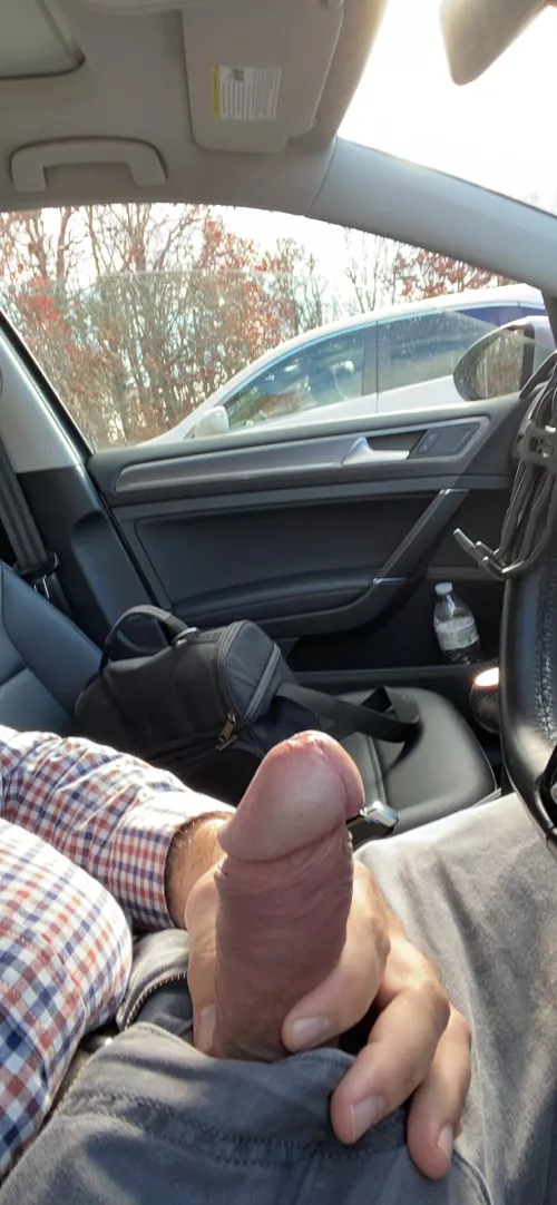 Little lunchtime cruising today. Nothing happened but he was lookin… I think he was just nervous.