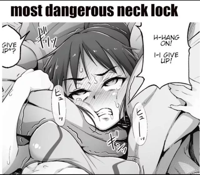 Mono Source: 1girl, 1boy, bodysuit, leglock, black hair 