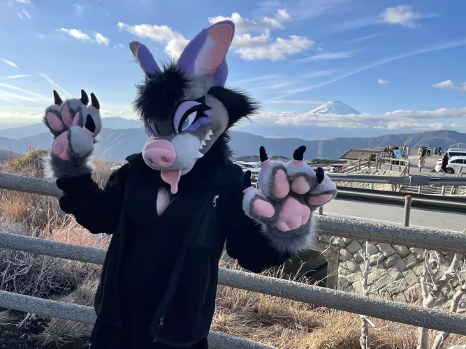 mt fuji located !! 🗻