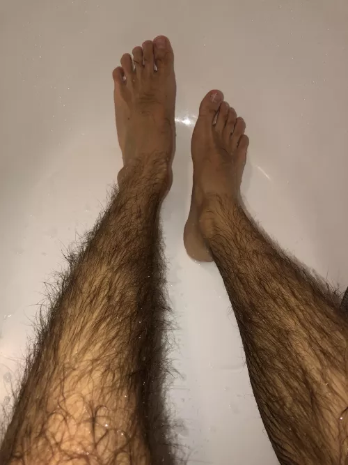 My legs are so hairy and fluffy. Touch them