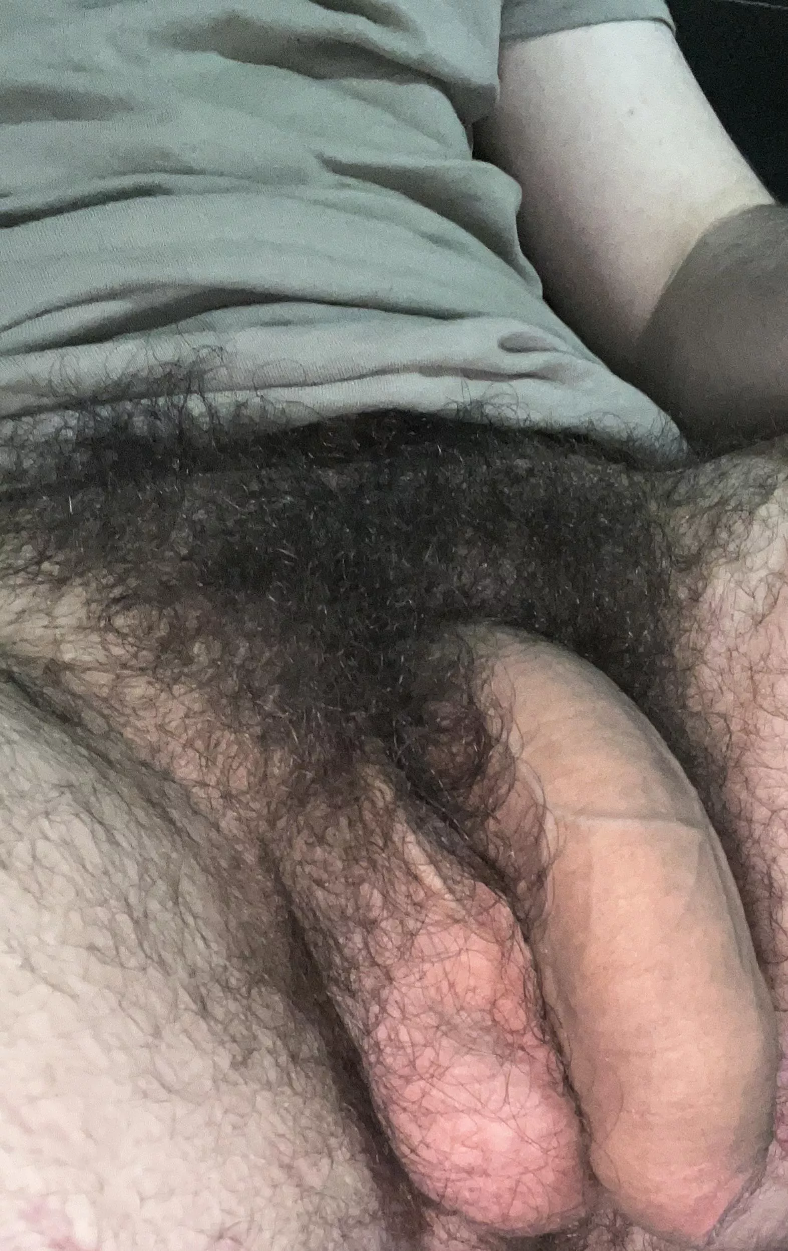 My thick bush and uncut cock!(soft cock pic)🌲🍆Dms open😈