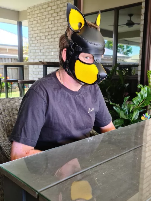 New Pup on the block, how does this work? 🤪 #Blind