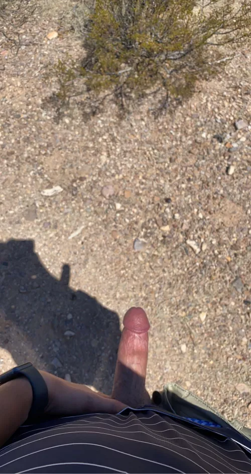 Nothing like some sun on the meat😍