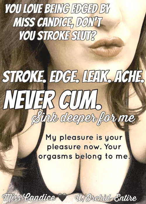 Obeying your Domme is the most important thing you can do. Now edge that worthless dick meat until you’re stupid and vulnerable for Her entertainment [OC] [Femdom]