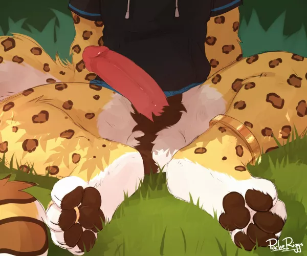 Paws [M] (Pache_Riggs)