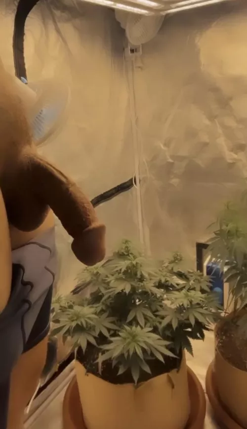 S[m]oke and chill? I want to find out about your passion inside