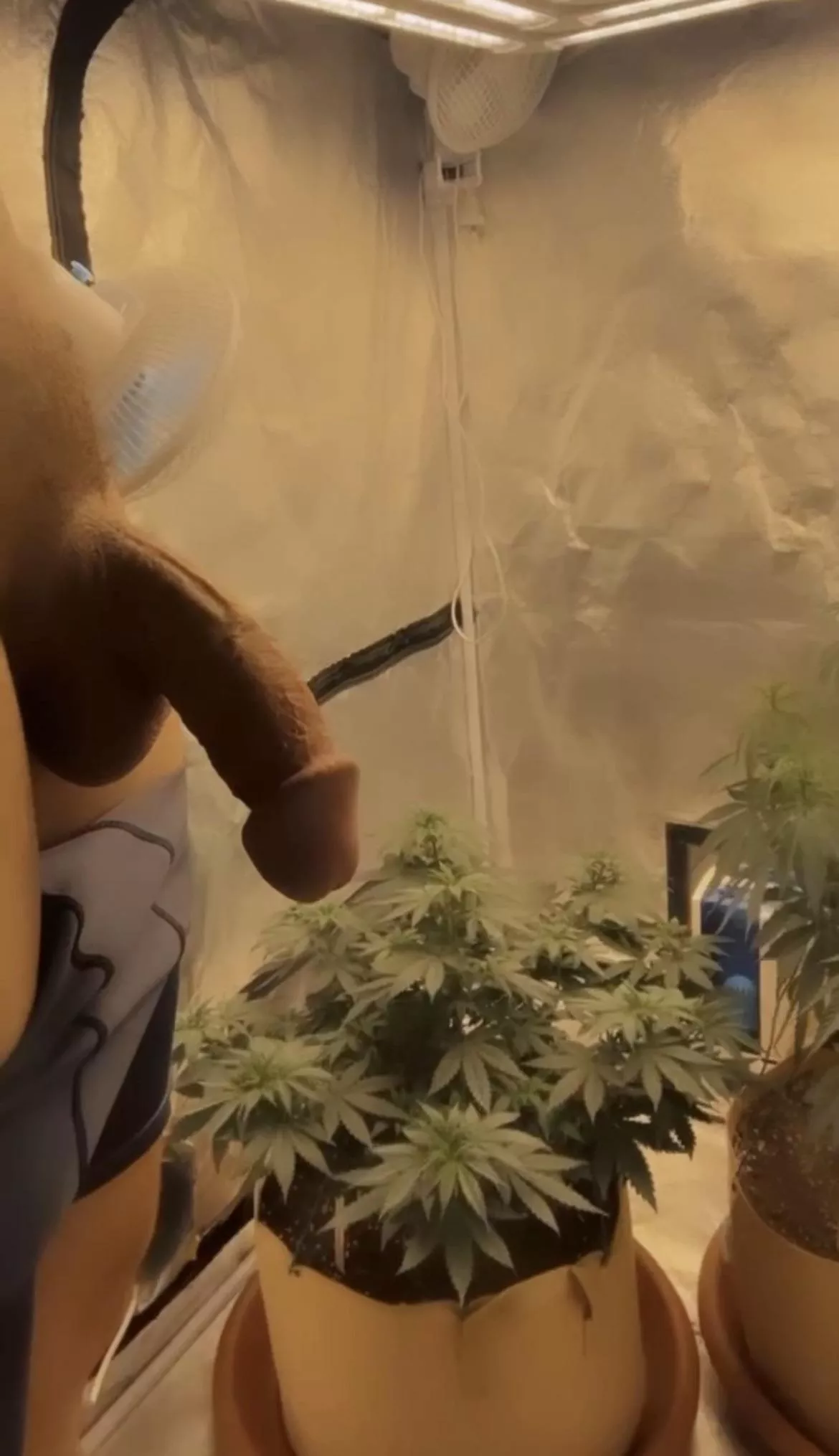 S[m]oke and chill? I want to find out about your passion inside