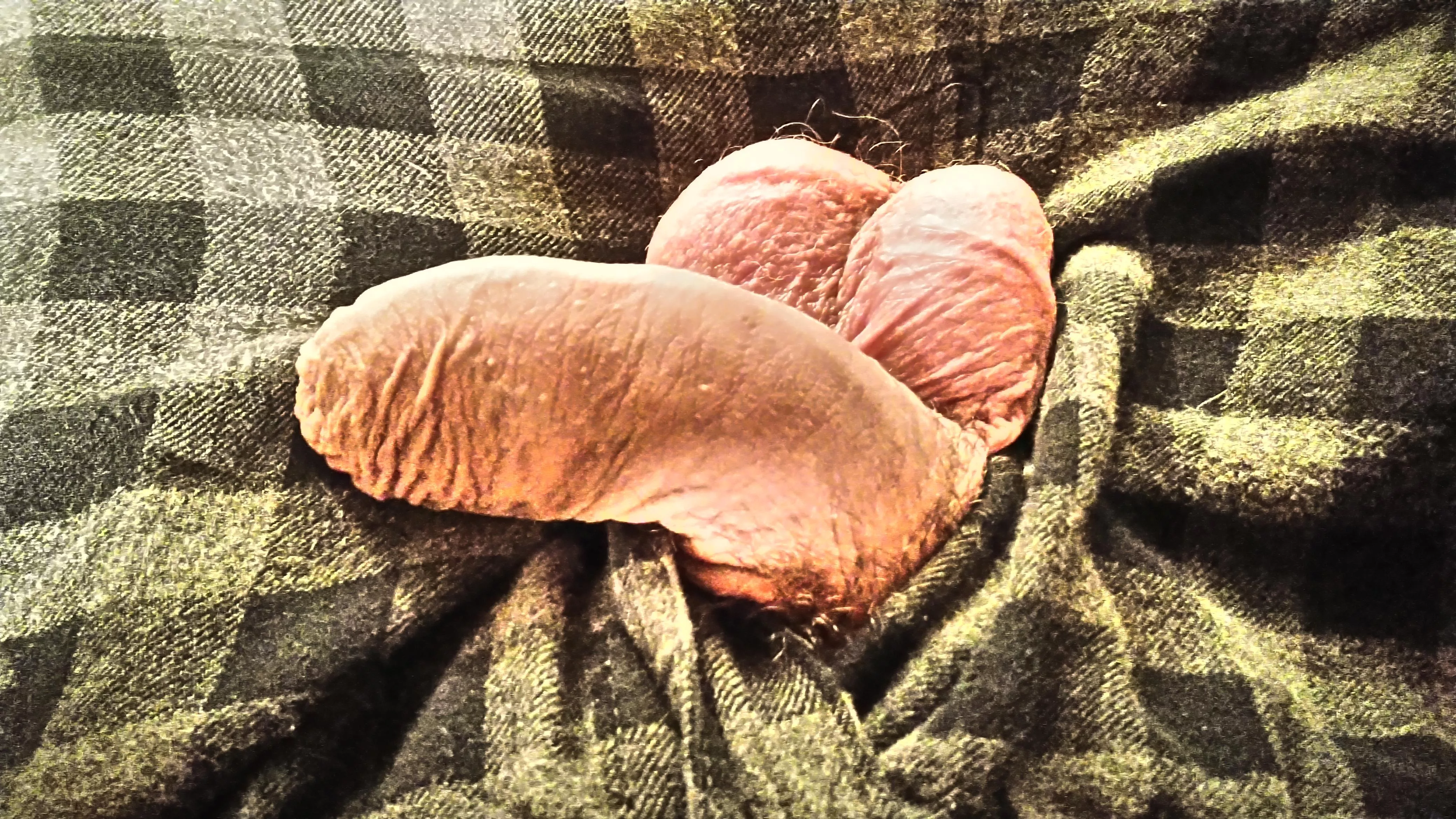 Soft af!!! Anyone like grub worms??!?