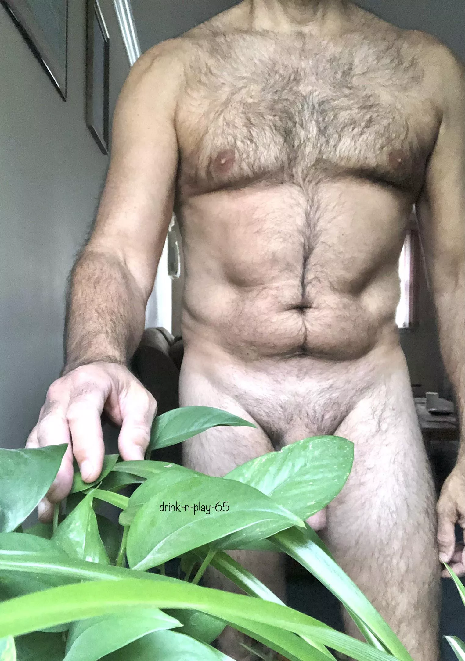 Taking care of my house plants