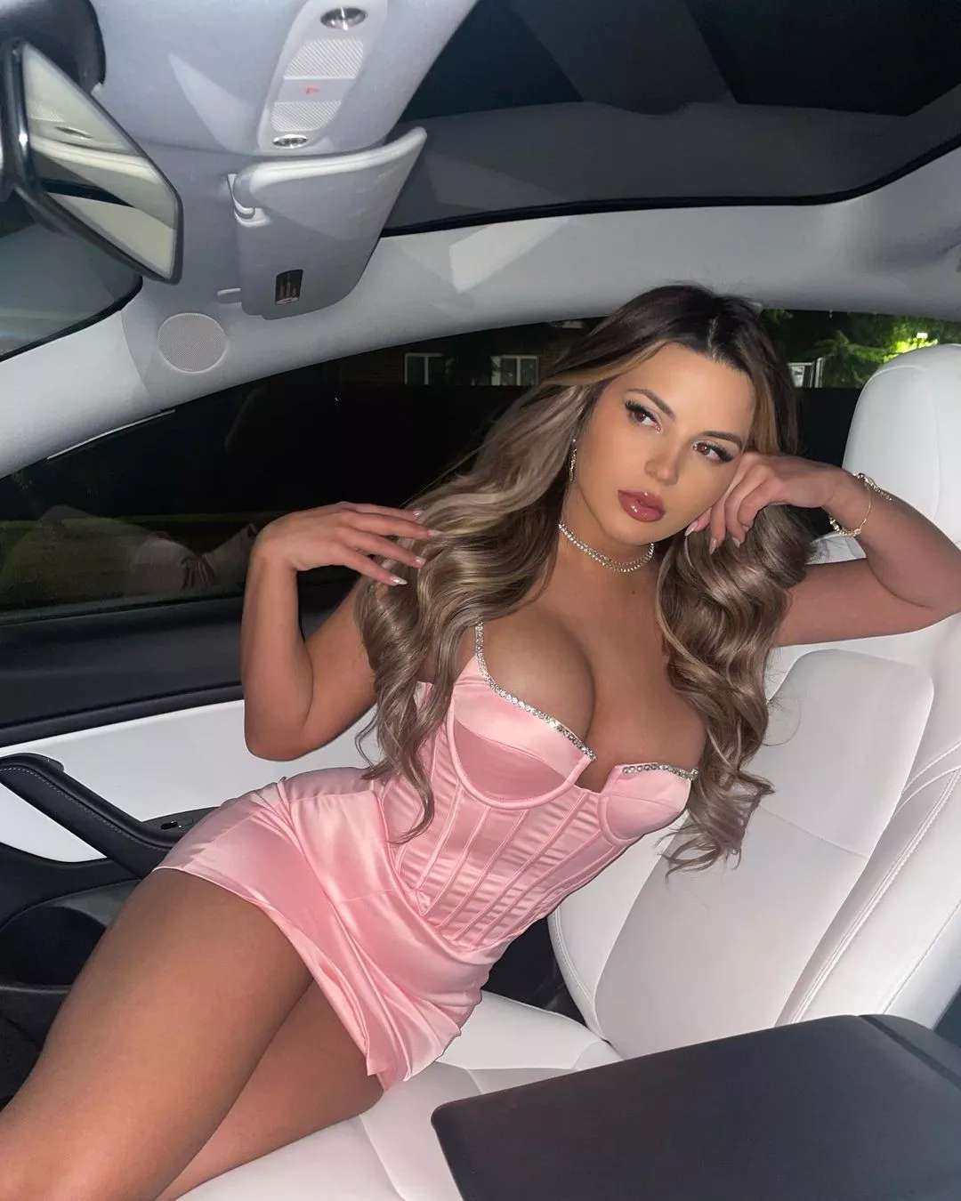 Tesla's Driver Assist